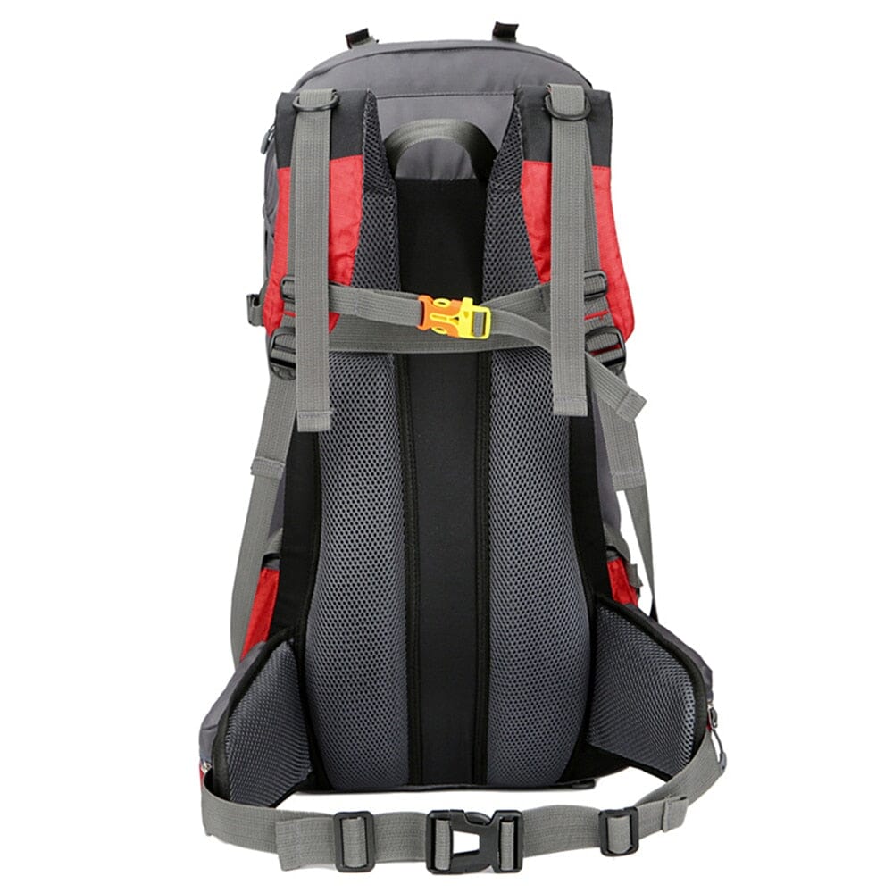 Mochila Cargueira Kane Montevie 60L